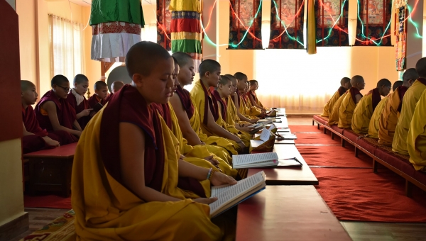 Day 7: The Blessings of Many Authentic Gurus